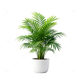 简约风绿植盆栽装饰素材