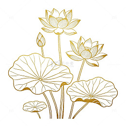 金色线条荷花图案