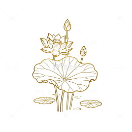 线条风荷花图案简约设计素材