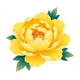 牡丹花开矢量插画素材