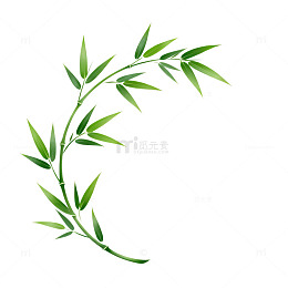 绿色竹子简约插画