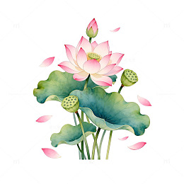 水彩荷花水墨画古风花卉装饰素材