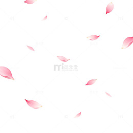 粉色花瓣飘落背景