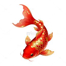 锦鲤图艺术插画
