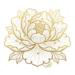 金色线条花朵图案设计素材