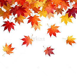 秋意浓郁枫叶飘落背景图