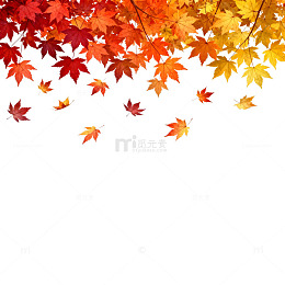 秋叶飘落背景图