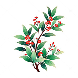 插画风格红色花卉植物图案设计素材