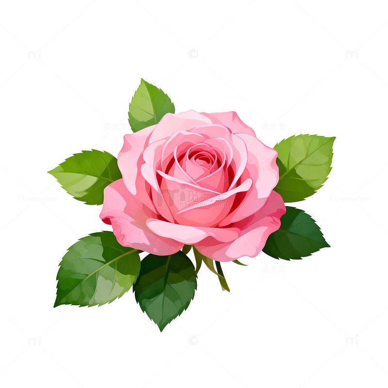 粉色玫瑰花矢量图案