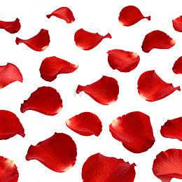 红色玫瑰花瓣背景装饰素材
