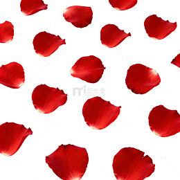 红色玫瑰花瓣背景图