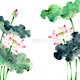 水墨荷花国画艺术装饰元素