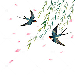 春天燕子柳树花瓣插画
