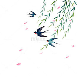 春风燕子飞柳插画