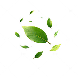 漂浮绿叶简约自然背景