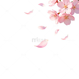 樱花飘落美景插画