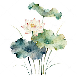 水墨荷花写意国画艺术画作