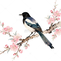 花鸟图水墨画喜鹊樱花设计素材