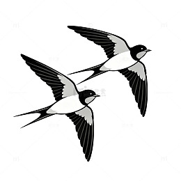 黑白燕子飞行矢量插画