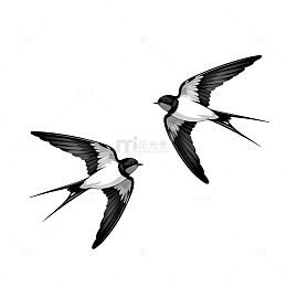 黑白插画燕子飞翔图
