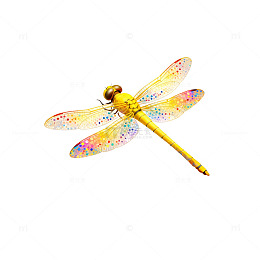 彩色蜻蜓手绘插画设计元素