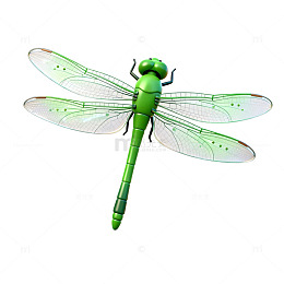 绿色蜻蜓插画矢量素材