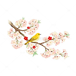 水彩花鸟图春天主题插画素材