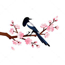 卡通喜鹊樱花矢量图