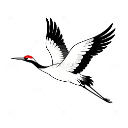 黑白鹤插画设计素材