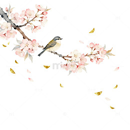 水彩花鸟图设计素材