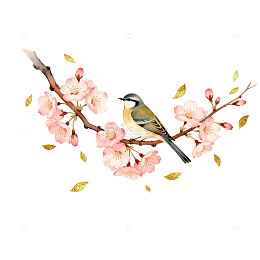 水彩花鸟图春天插画设计素材