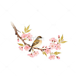 水彩花鸟图装饰插画素材