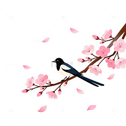 樱花枝头喜鹊卡通插画