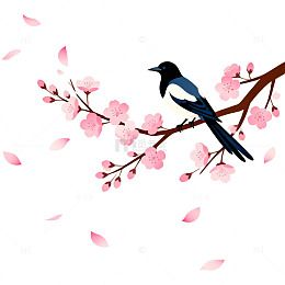 春日樱花喜鹊插画