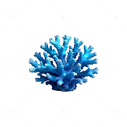 蓝色珊瑚模型3D渲染图