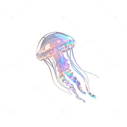 全息炫彩水母艺术插画