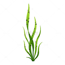 简约风绿色植物插画设计素材