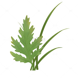 清明节艾草植物手绘元素
