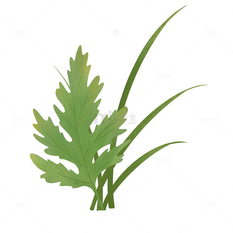 清明节艾草植物手绘元素