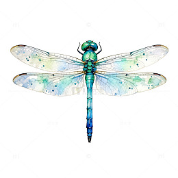 水彩蜻蜓艺术插画