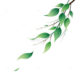 柳枝水墨画风格插画