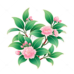 插画风格粉色山茶花卉设计元素