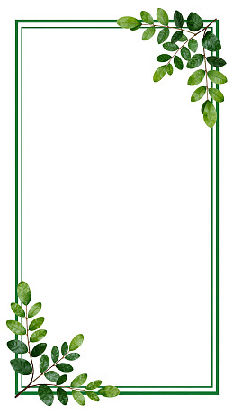绿色植物边框设计图片