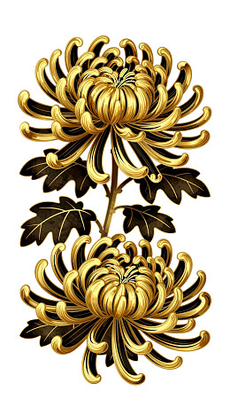 金色菊花艺术插画图片