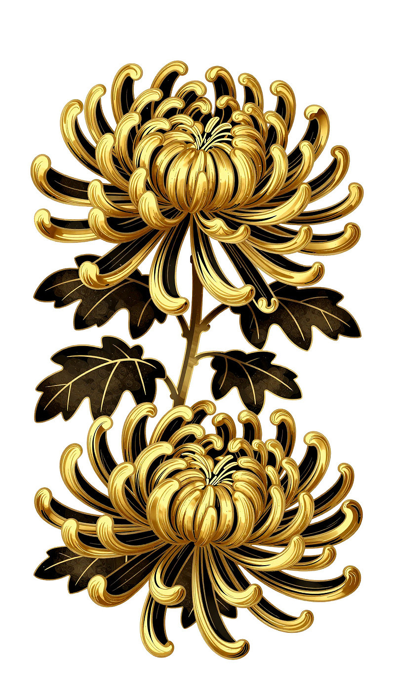 金色菊花艺术插画图片