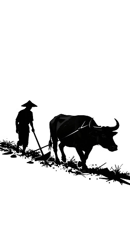 农夫与水牛犁田劳作场景
