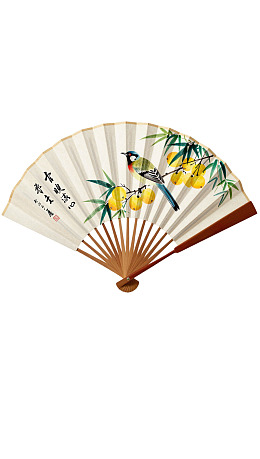 绘有鸟与花的精美折扇