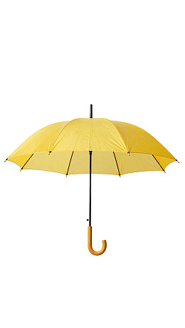 黄色雨伞在白色背景上展开