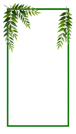 绿色植物边框空白背景图
