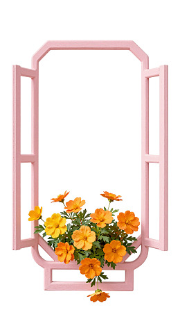 粉色窗框内橙黄花簇图片